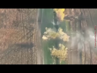 porn появилось видео эффектного удара украинского дрона камикадзе по московитской осе porn