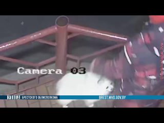 porn житель барановичей украл у молодые шпица чтобы подарить жене porn