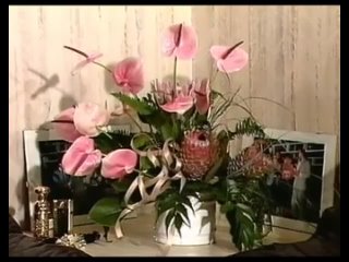porn teresa orlowski compilation 1 porn