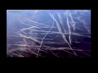porn сумасшедшие сектанты сошли с ума пришло время их остановить porn