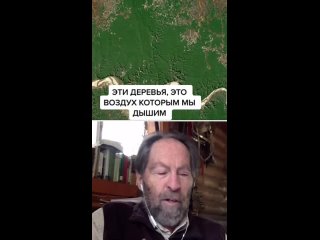 porn сектанты и торгаши уничтожают леса по всей планете поэтому климат меняется porn