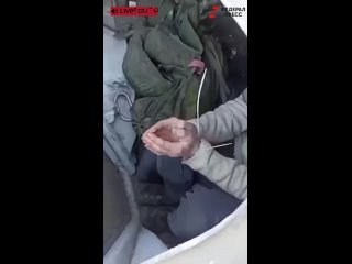 porn в соцсетях появилось видео на котором дагестанцы взяли в плен американского наемника и побили его тапком porn