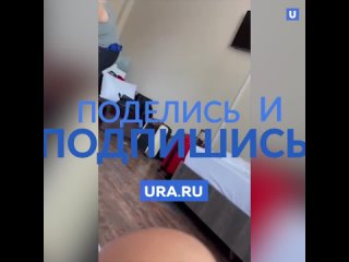 porn владелица отеля обматерила гостей за просьбу убрать комнату porn