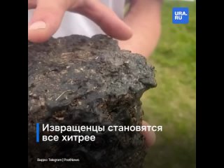 porn извращенцы кажется совсем сбрендили кто то спрятал камеру в камень на пляже porn