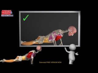 porn how to do a proper push up watch the muscles in 3d learn to avoid a common mi porn