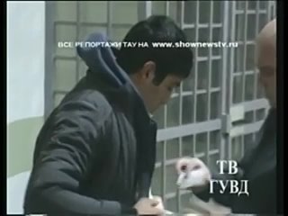 porn тау беглые узбеки забившие соплеменника камнями попались на урале porn