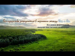 porn китайская мудрость в изложении си цзиньпина серия 5 все существа рождаются в гармонии между инь и ян все живое porn