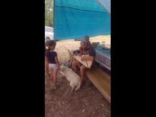 porn видео от поселение родовых поместий радужное у медведицы porn