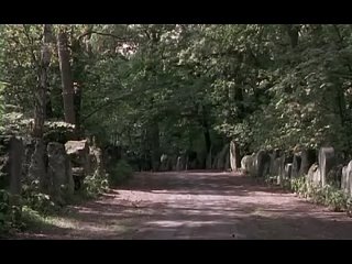 porn черное солнце сс мифологические предпосылки национал социализма the occult roots of nazism ss германия 2003 porn