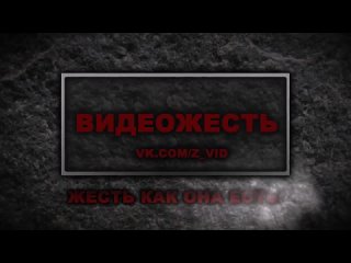porn провинция найнава ирак отобрал мопед и застрелил видеожесть porn