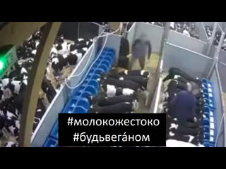 porn вместо матери коровы кормление молочных телят на ферме молокожестоко будьвеганом porn