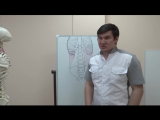 porn sls косые мышцы молодые как тренировать и растягивать porn