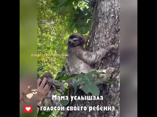 porn какое милое видео боже как она его обнимает какая прелесть porn