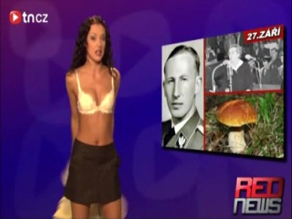 porn сексуальная ведущая раздевается в передаче porn