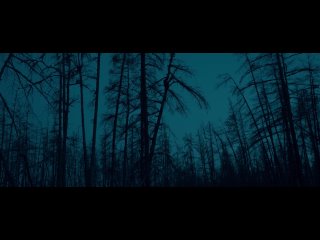 porn проклятие мертвая земля трейлер porn