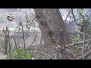 porn сирия июнь 2014 млиха провинция дамаск попадание в т 72 из рпг м 79 оса porn
