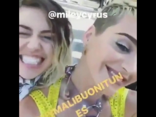 porn miley and katy on wango tango porn