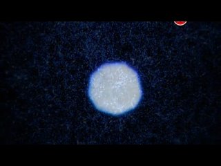 porn наука 2 0 большой скачок эволюция пикселя 2014 porn