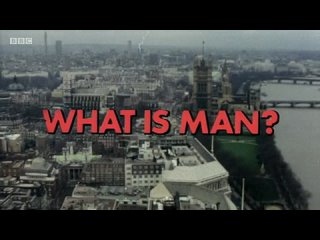 porn западня что сталось с мечтой о свободе одинокий робот porn