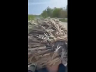 porn всушники пытаются быстро отступить но в результате падают в реку porn
