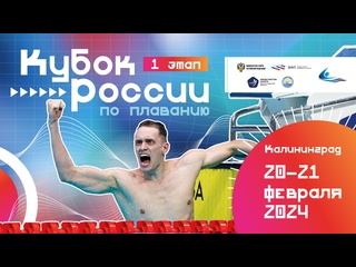 porn день 2 кубок россии по плаванию 2024 i этап калининград porn