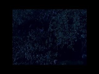 porn большой плохой волк волк оборотень big bad wolf 2006 лицензия public40911932 porn