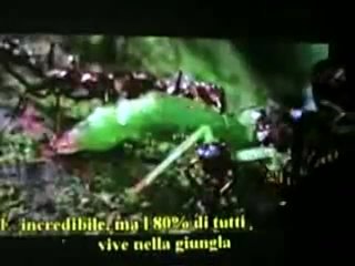 porn доктор симончини рак это грибок сода натуральный антибиотик porn