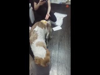 porn видео от верный друг помощь бездомным молодые караганда porn