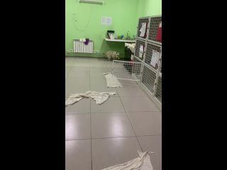 porn видео от верный друг помощь бездомным молодые караганда porn