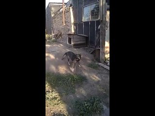 porn видео от верный друг помощь бездомным молодые караганда porn