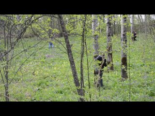 porn лазертагспецподразделение tff 1 porn