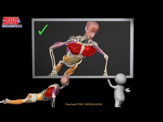 porn how to do a proper push up watch the muscles in 3d learn to avoid a common mi porn
