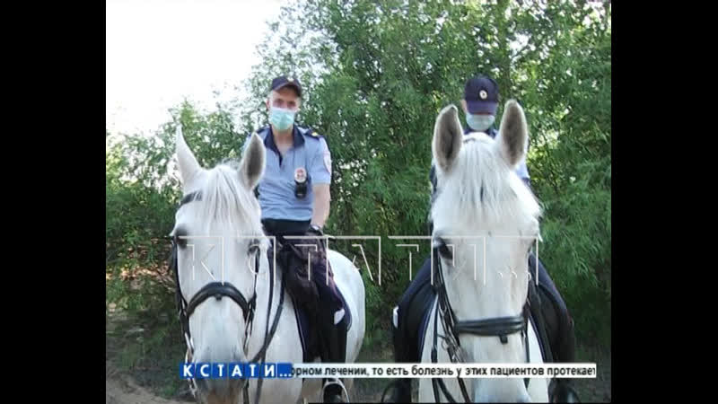 porn нижегородская полиция третий день решает что делать с сексуальной оргией на гребном канале porn