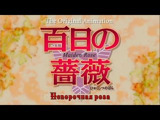 porn hyakujitsu no bara ova непорочная роза ова 2 серия end djatom miks badwolf mistake legion eladiel porn
