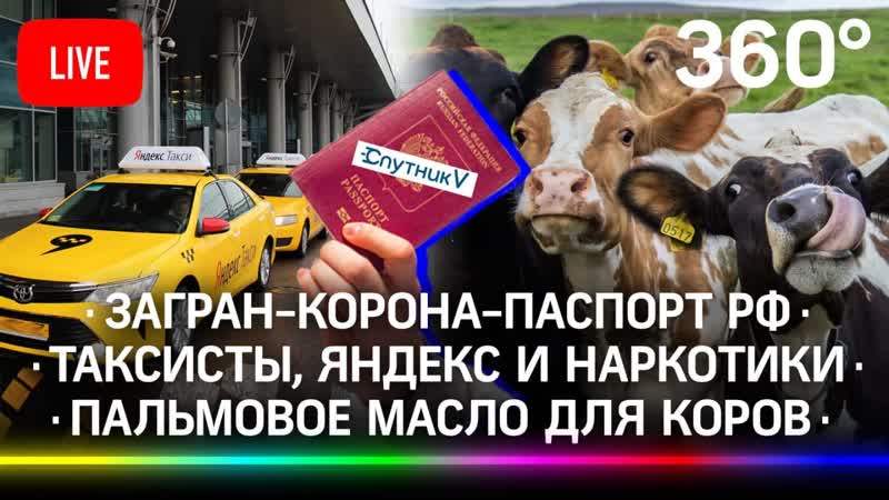 porn загран корона паспорт рф таксисты яндекс и молодые пальмовое масло для коров porn