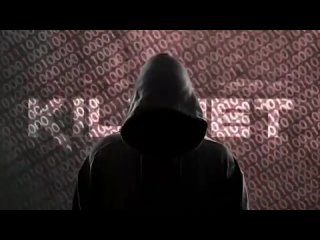 porn хакерская группа killnet сегодня мы официально объявляем кибервойну правительству десяти стран два месяца мы porn