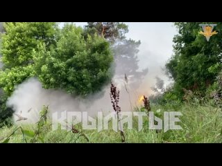porn вот так мы встречали недругов с огоньком надеюсь все понимают что рсзо бьёт по площади так что чем большие толпы porn