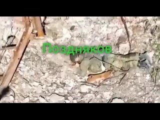 porn русский герой находясь в безвыходной ситуации чтобы не сдаваться в плен подрывает себя гранатой пусть господь porn