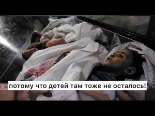 porn в газе больше нет школ потому что детей там тоже не осталось в израиле ликуют по поводу погибших палестинцев в газе porn
