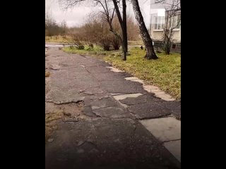 porn в ярославле боец ч вагнер потерявший ноги вынужден ползком заходить и тащить коляску в собственную квартиру porn
