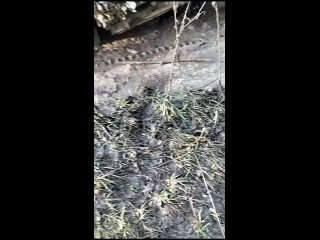 porn превратившиеся в кашу дороги засасывают в себя далеко не только тяжелую западную технику украинской армии porn