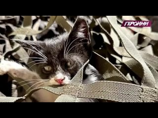 porn самая сильная девушка в мире рассказывает правду об сво марьяна наумова была самой сильной девочкой на планете она porn