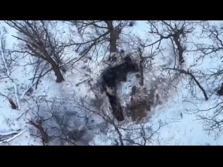 porn в сети появилось видео на котором попавший в плен русский боец бросает гранату в блиндаж противника почему граната porn