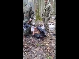 porn задержание таджикского террориста в брянском лесу силовики не церемонились с ублюдком работайте братья porn