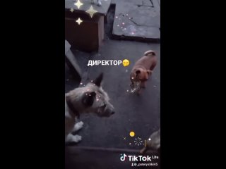 porn video by потеряшки помощь бездомным молодые курган porn