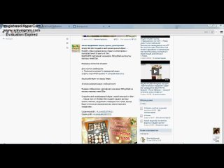 porn акция 396 создайте свой неповторимый образ меняйте образ каждый день и будьте неповторимы с палитрой теней 24 porn