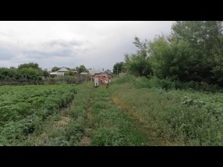 porn народный чувашский фольклорный ансамбль горлица porn