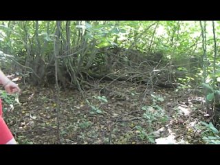 porn гепарды и безмолвный город 5 серия вторая попытка porn