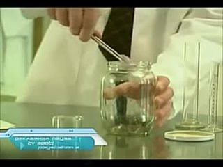 porn в сосновом бору всё очень хорошо опыт с блохами наглядно показывает потрясающие светлые перспективы кровососущих porn