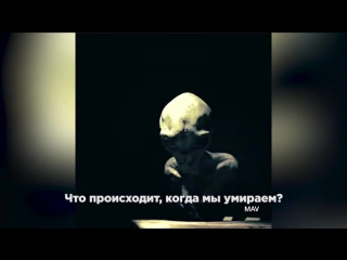 porn в сети появилось фейковое интервью с пришельцем porn